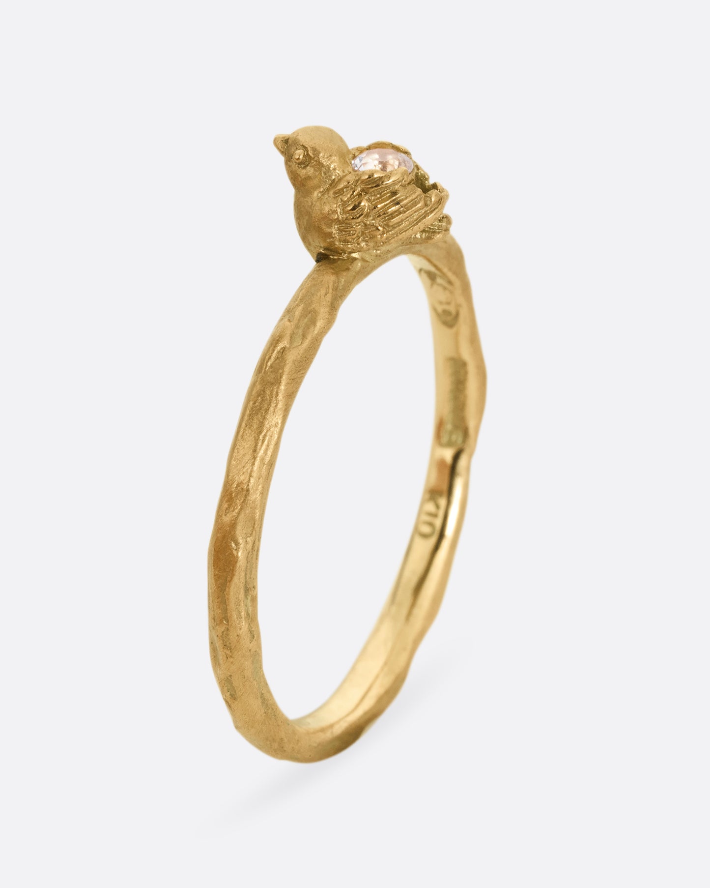 Flycatcher Bird Ring