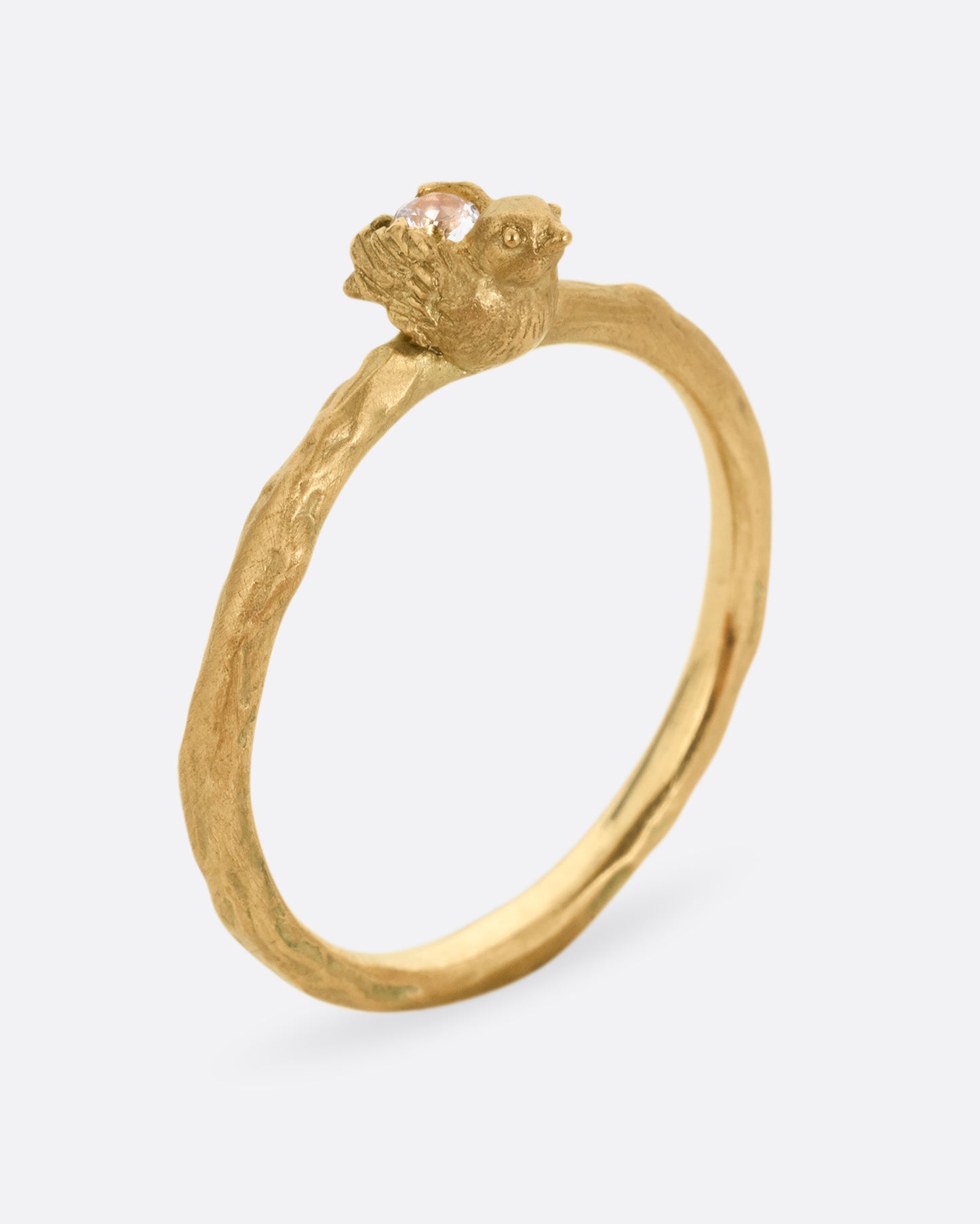 Flycatcher Bird Ring