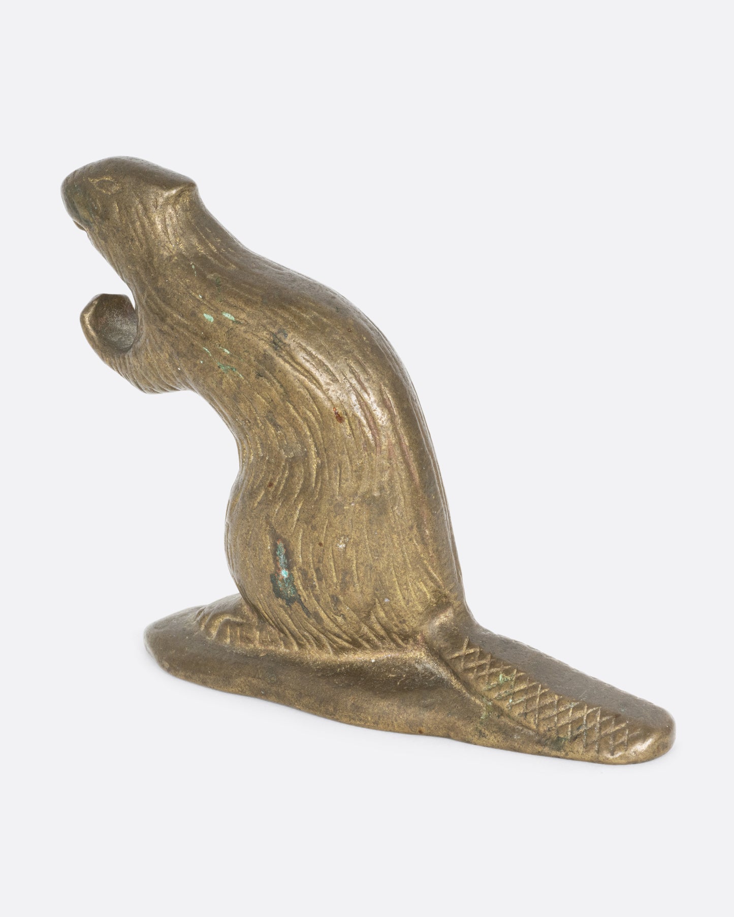 Beaver Bottle Opener