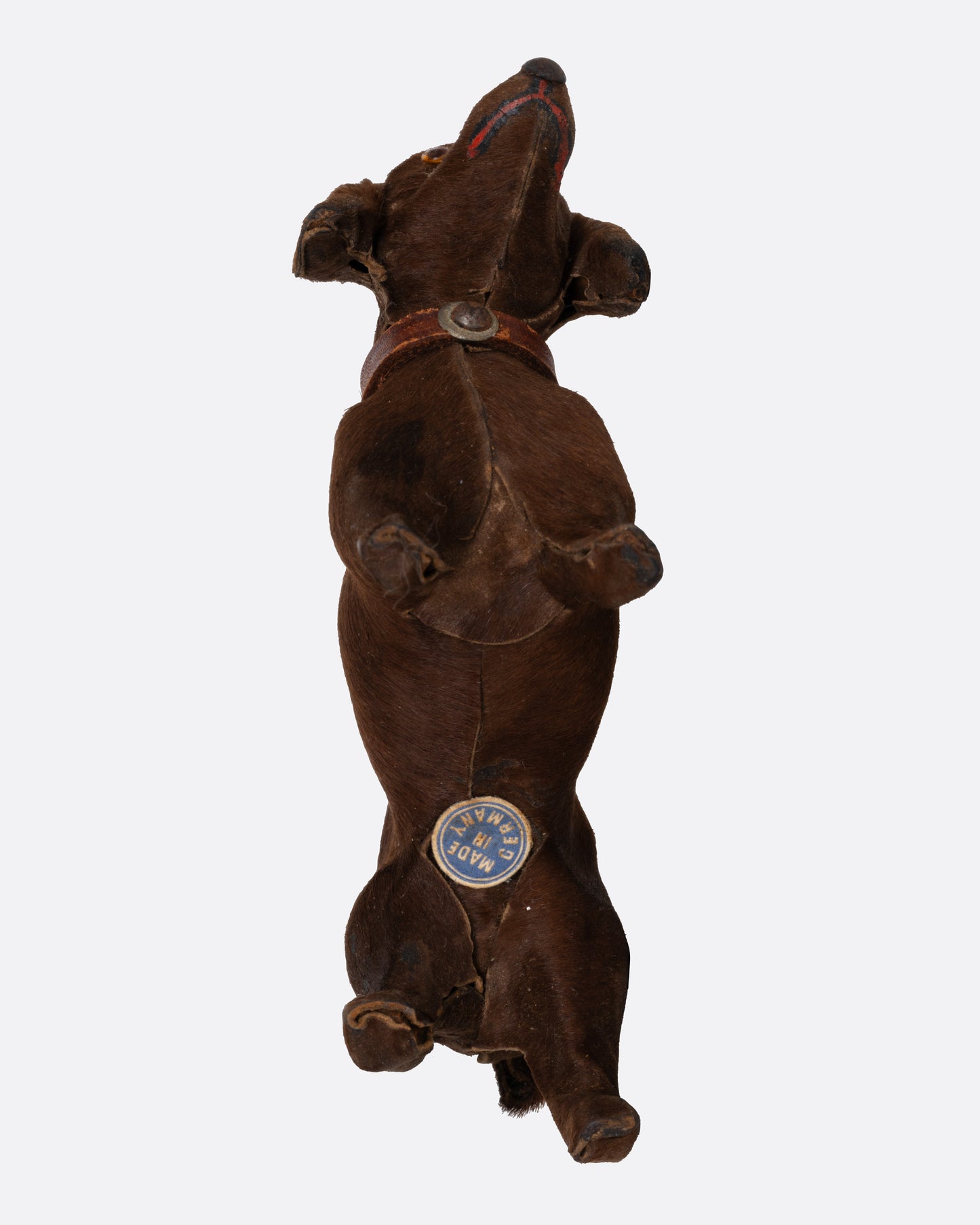 A hand carved brown dachshund with a collar, shown from the bottom.