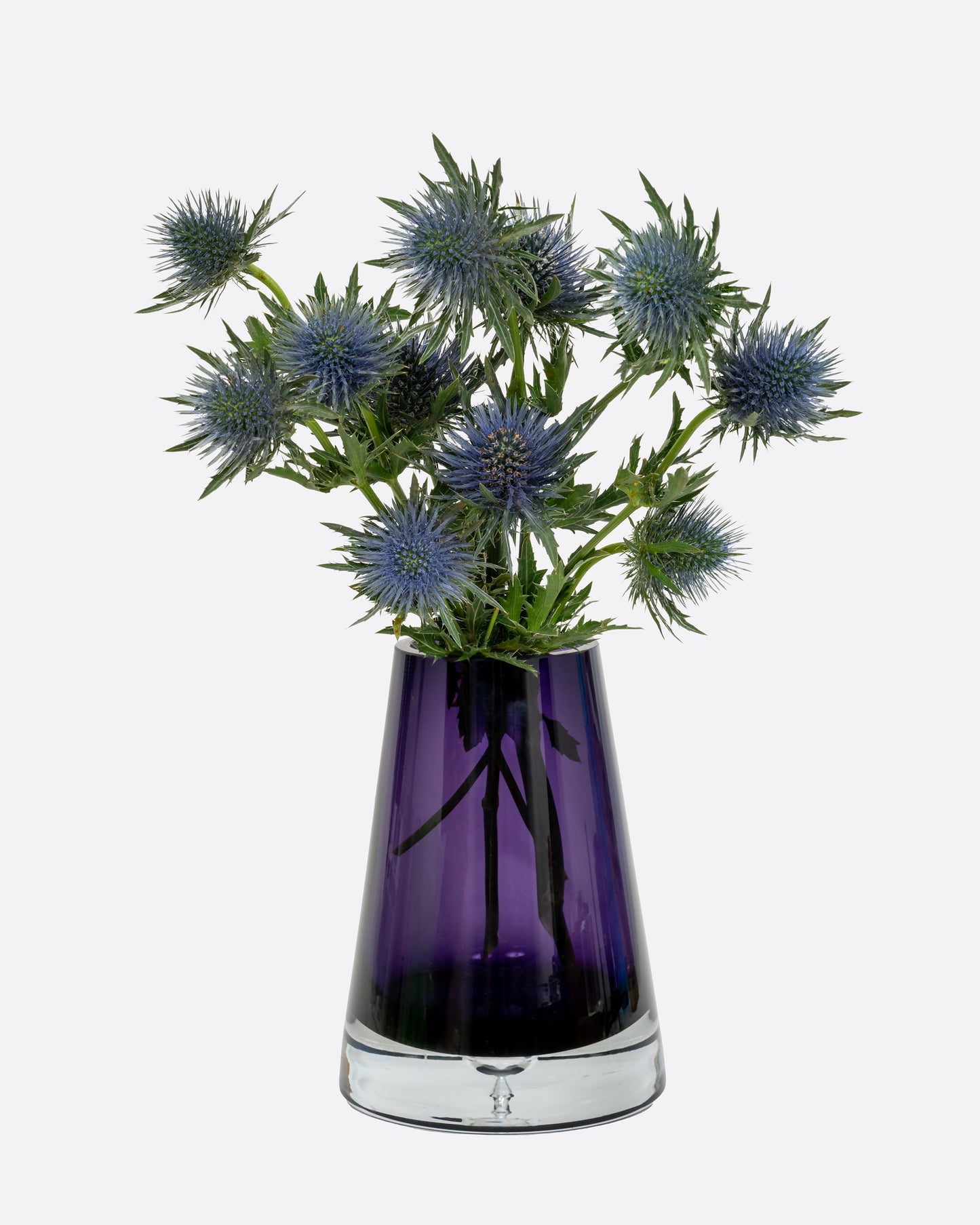 An aubergine glass vase with a wide base and more narrow top. Shown with flowers in it from the front.