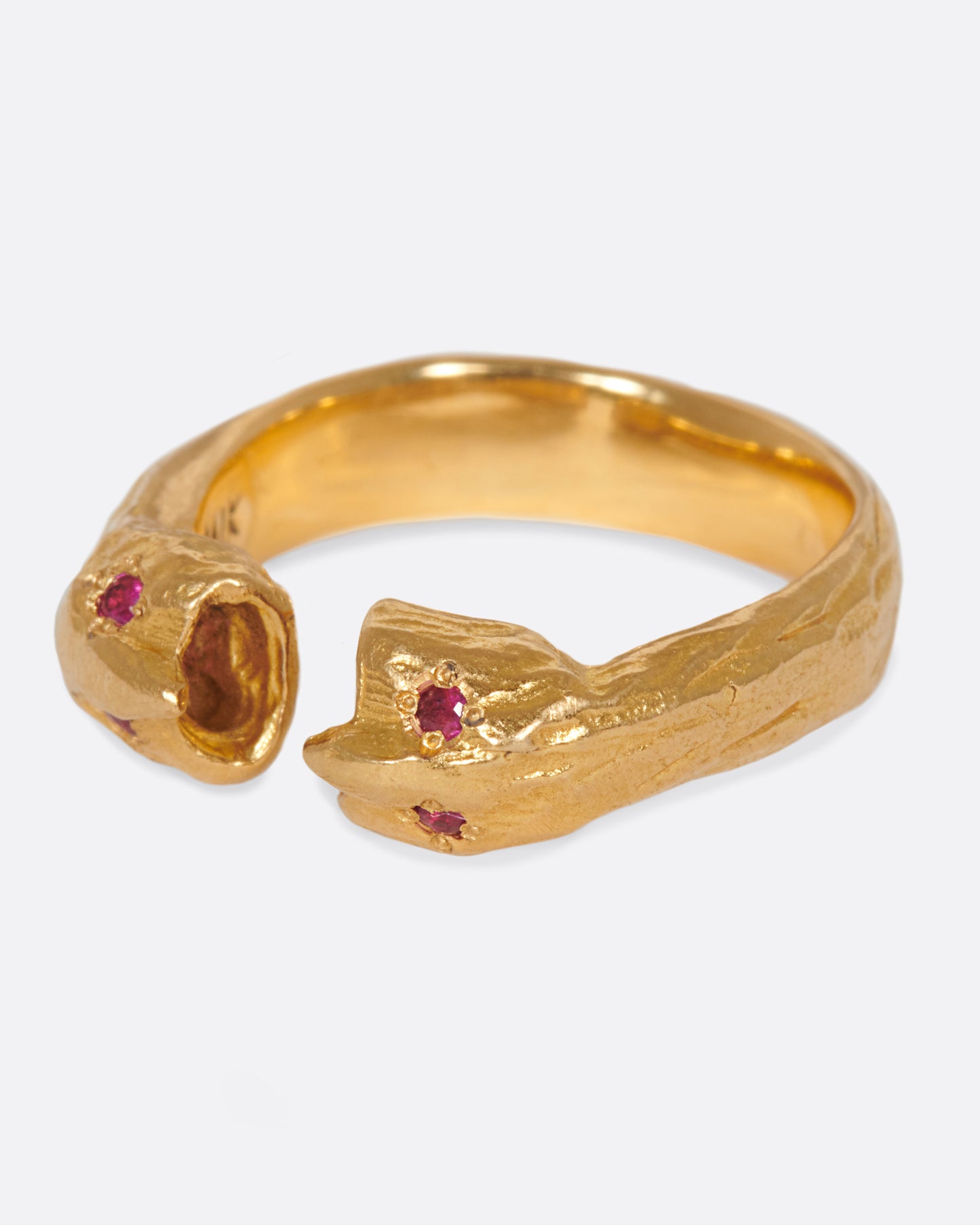 An open ring with two creatures facing one other, sharing stories.