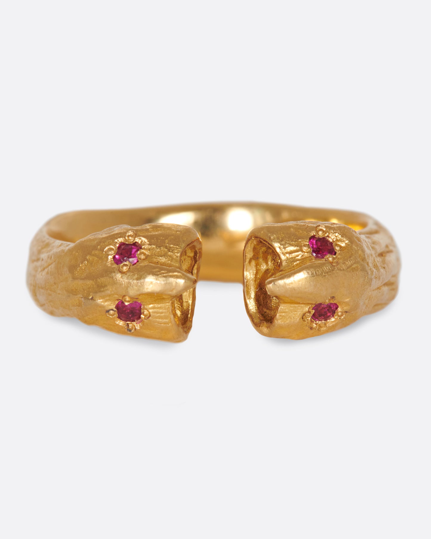 An open ring with two creatures facing one other, sharing stories.