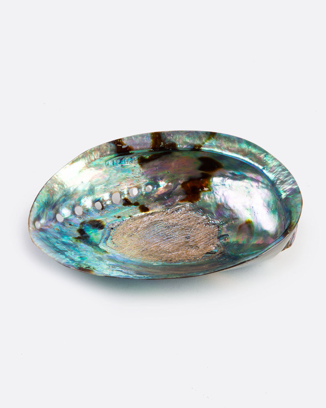 A colorful abalone shell with a glossy finish sits on a white surface. Shown lying on its back.