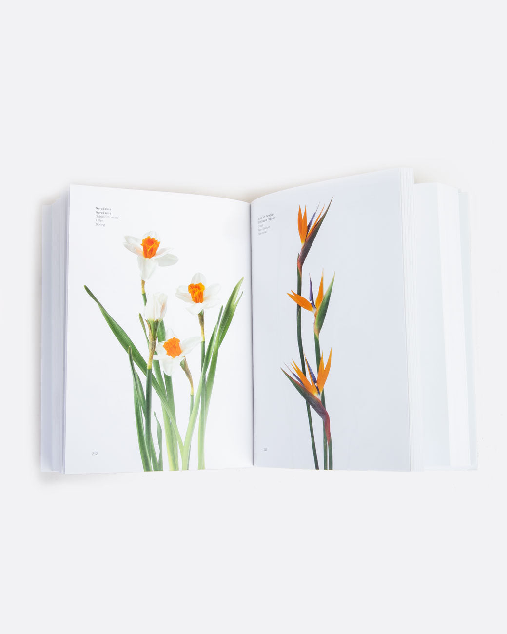 Created by New York floral design duo Putnam and Putnam, this book is your reference guide to 400 types of flowers, organized by color