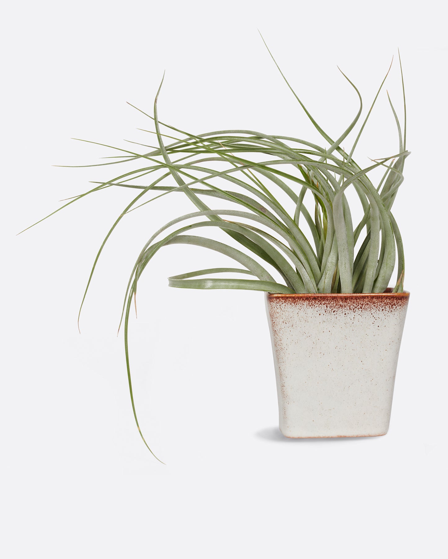 A warm white vase with brown speckles.