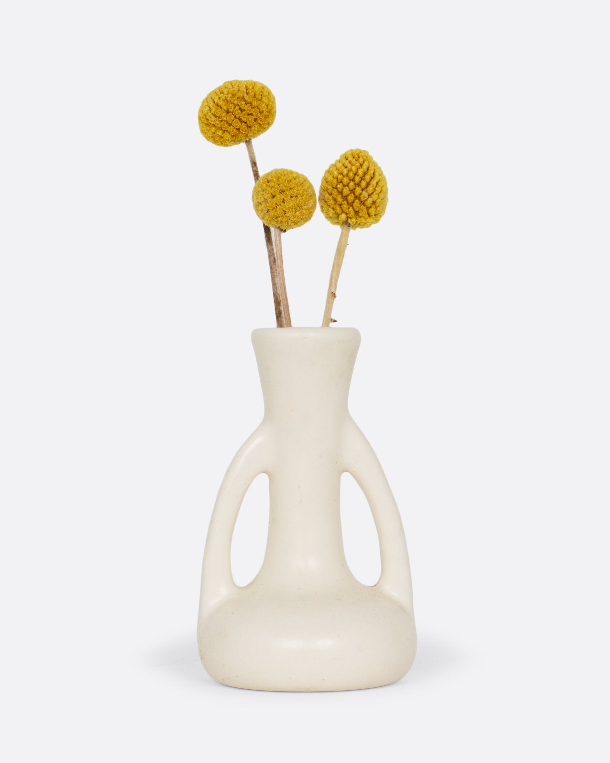 A cream colored bud vase with handles. Shown from the front with three billy button flowers in it.
