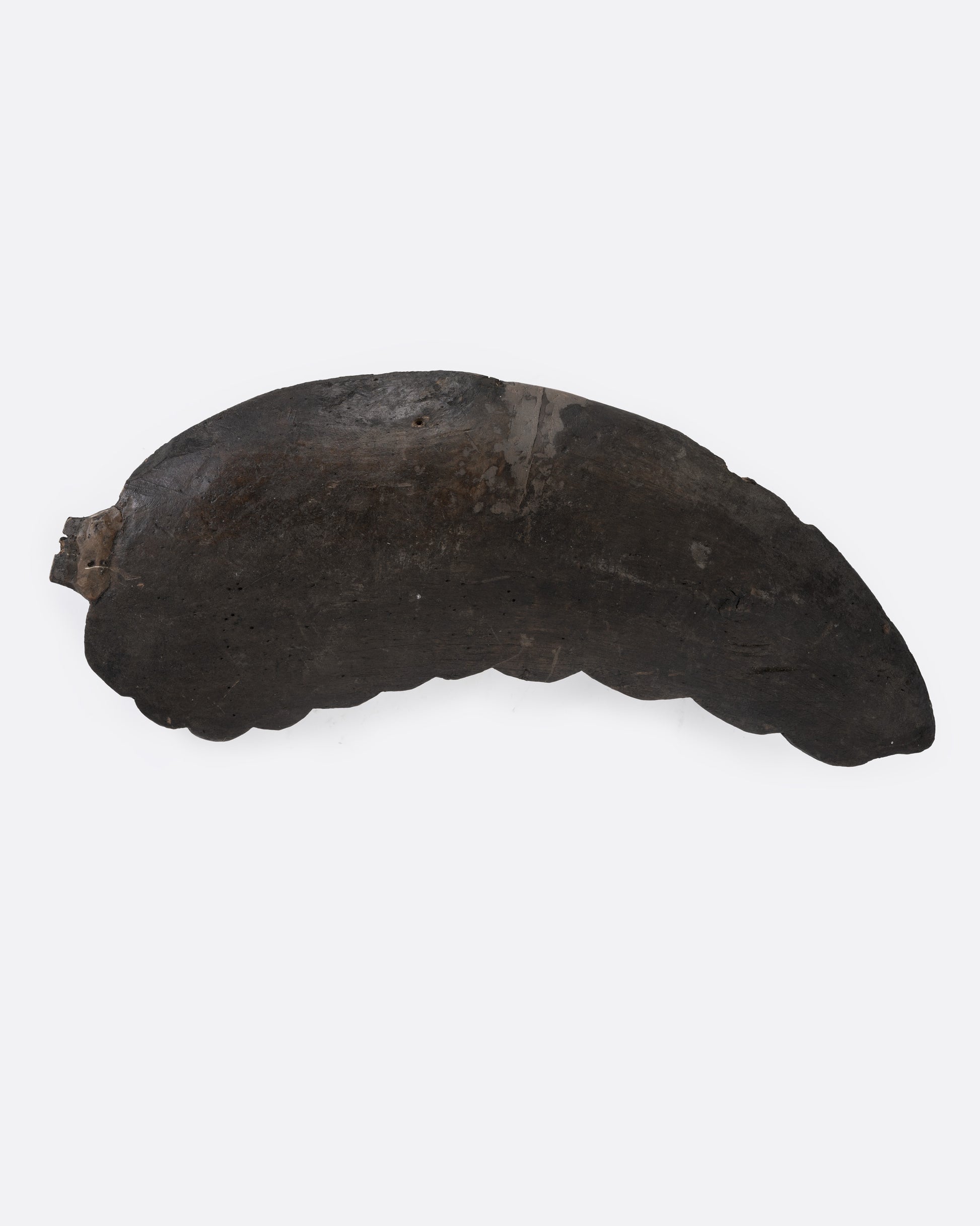A hand carved wooden wing, shown from the back.
