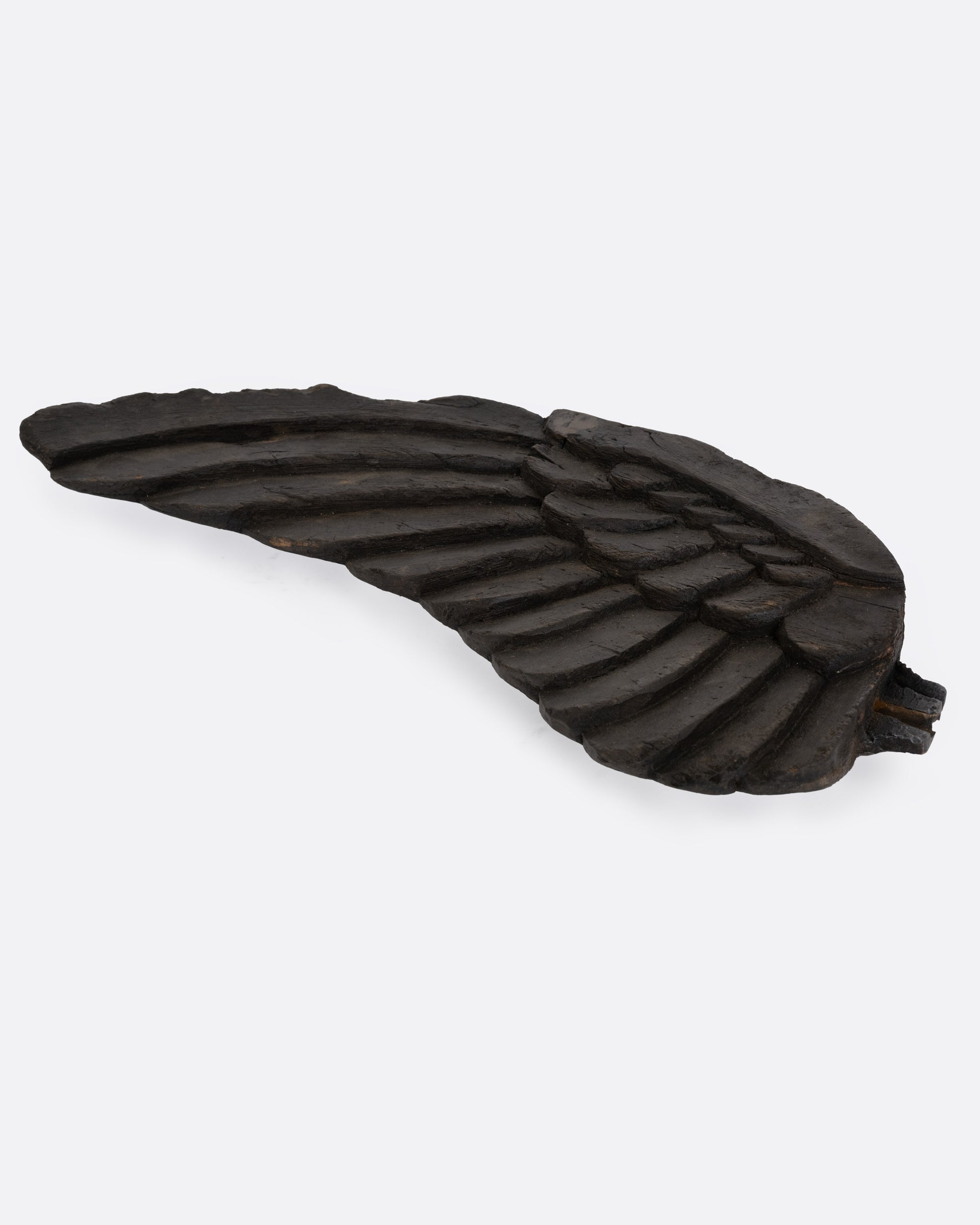 A hand carved wooden wing, shown from the front.