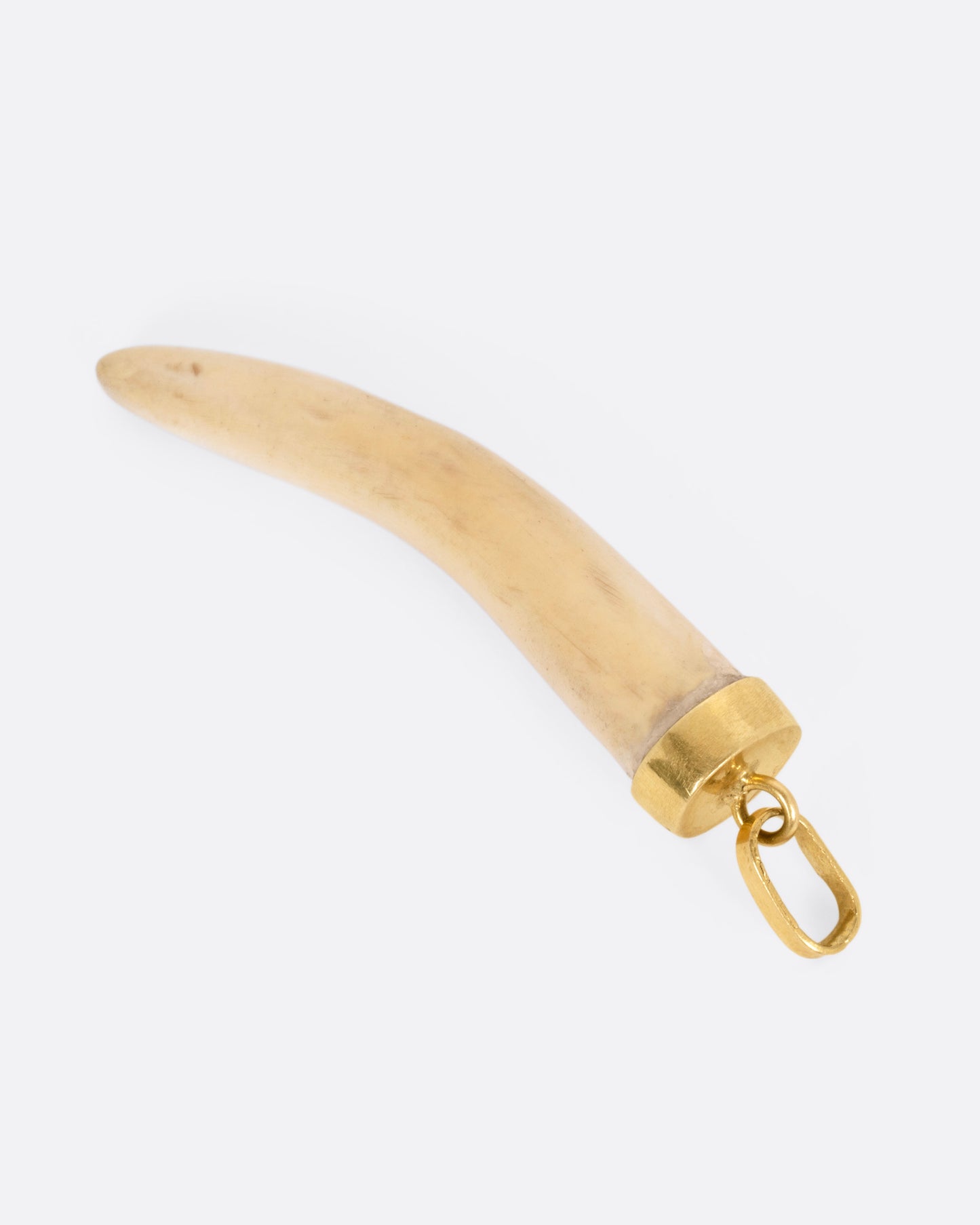 A horn shaped one charm with a yellow gold bail, shown from the back.