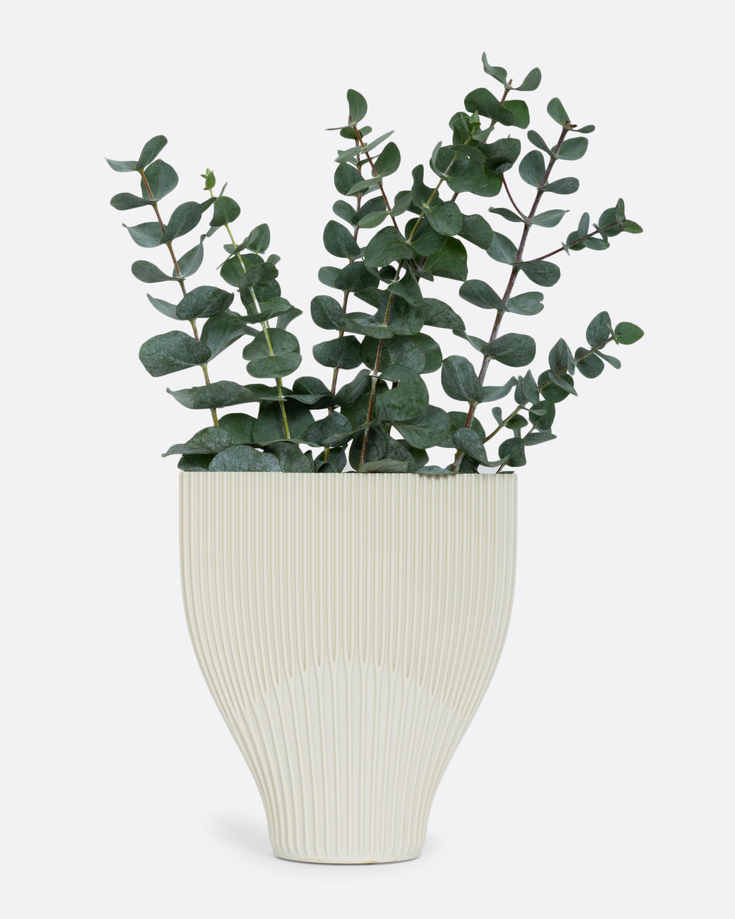 3D PRINTED FLUKE VASE