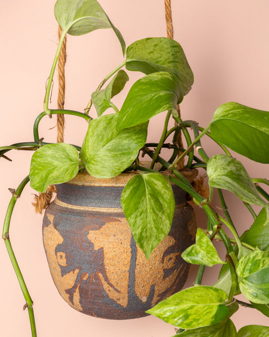 Abstract Glaze Hanging Planter