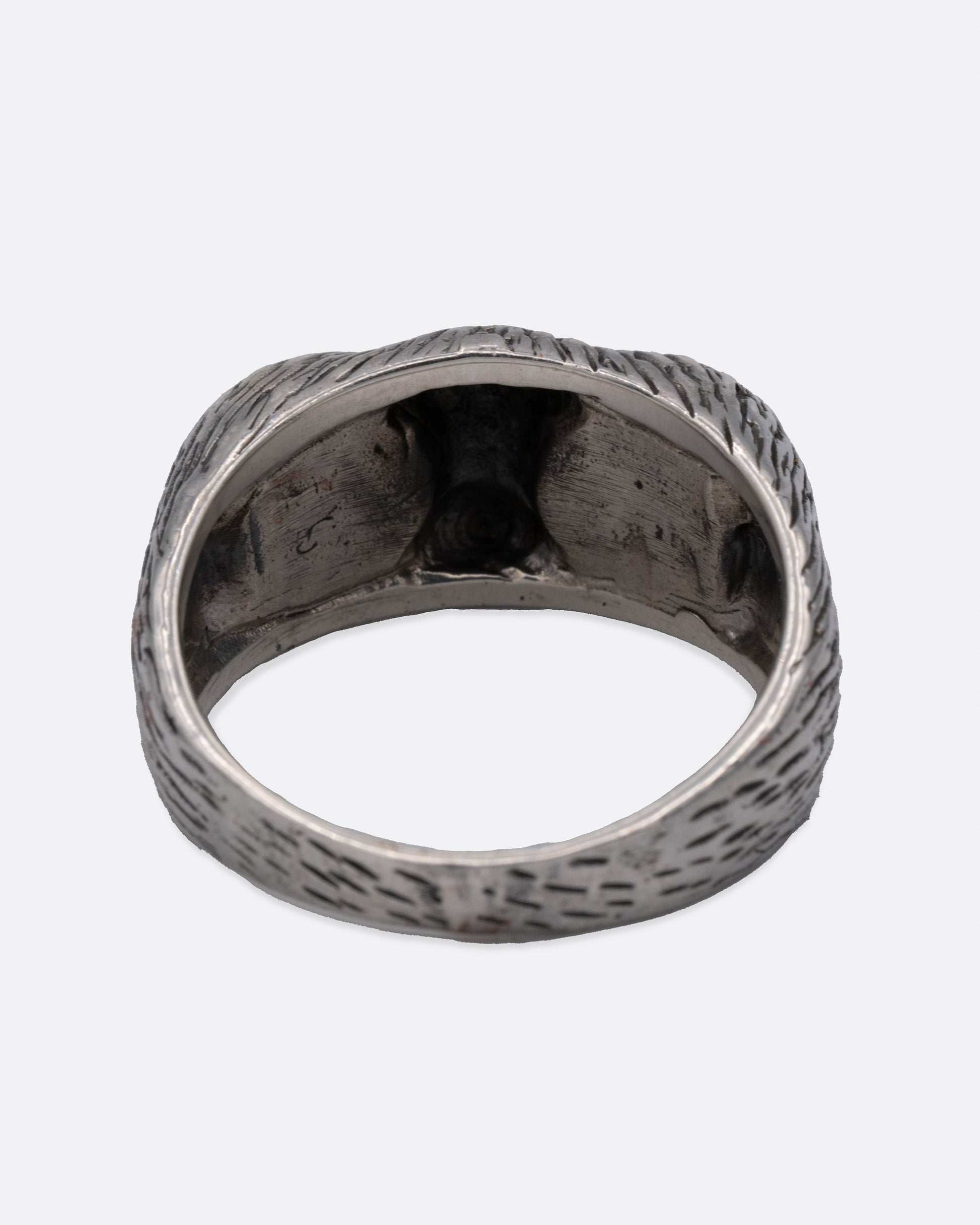 A silver ring with two blue glass eyes across the front. Shown from the back.
