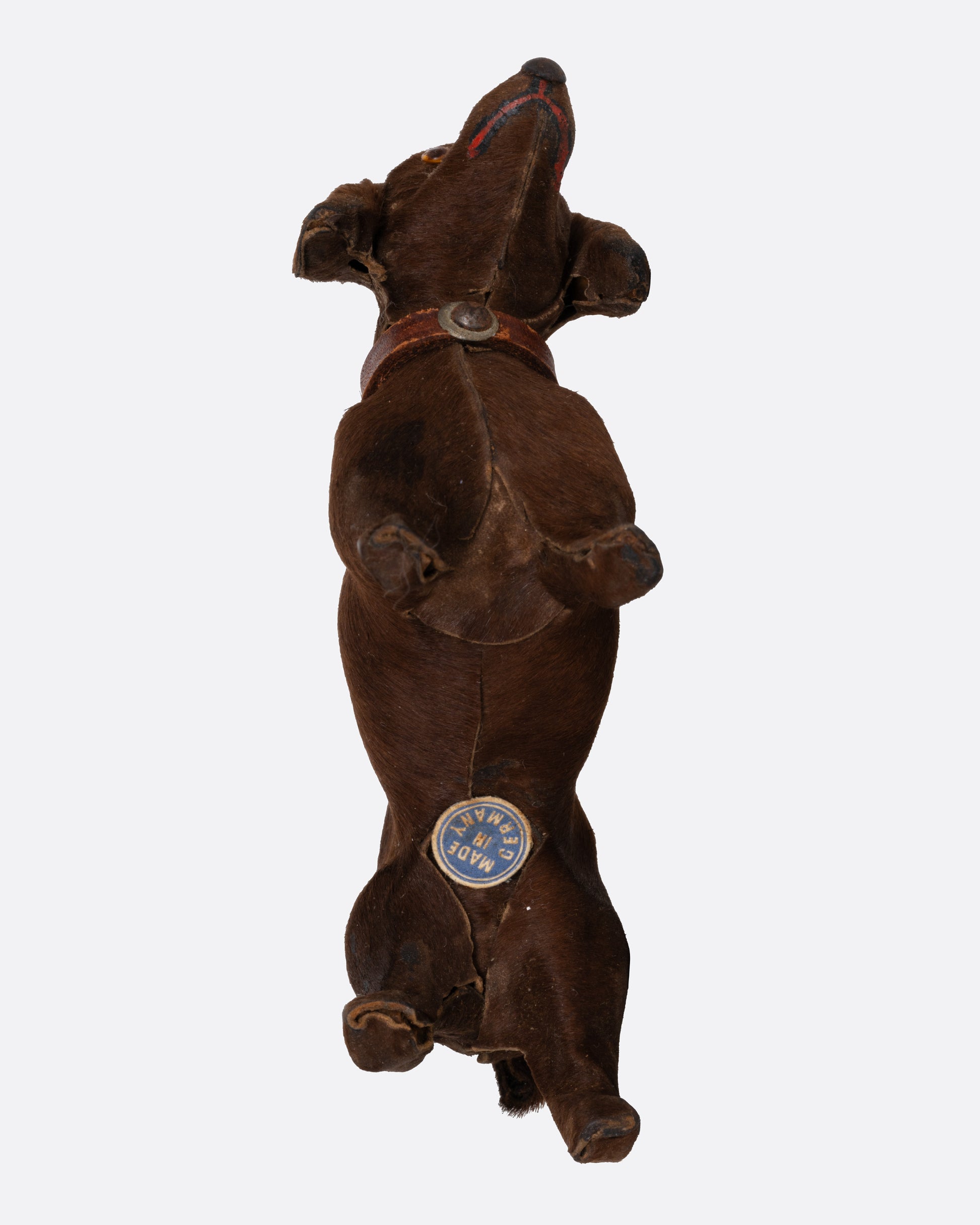 A hand carved brown dachshund with a collar, shown from the bottom.