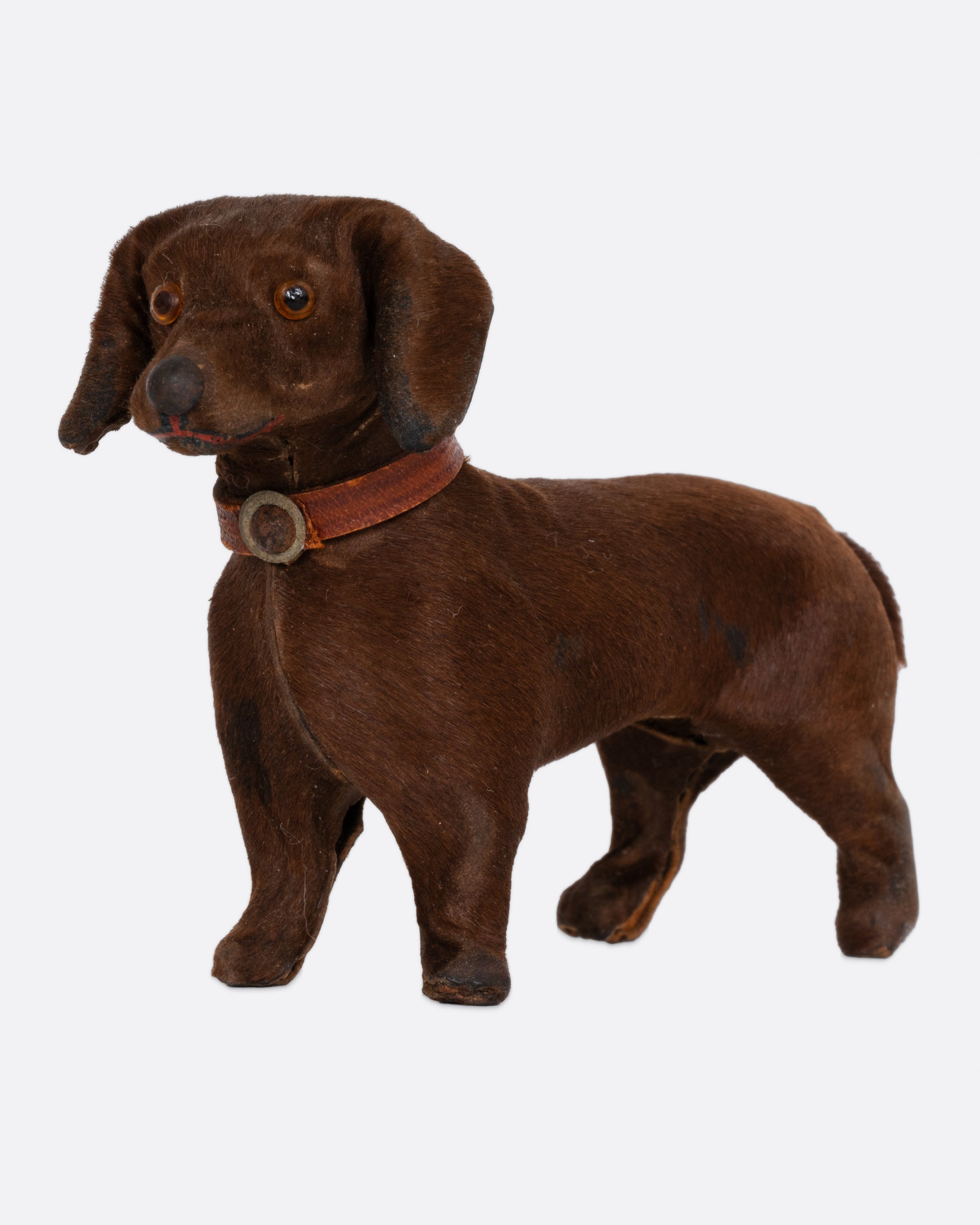 A hand carved brown dachshund with a collar, shown from the front.