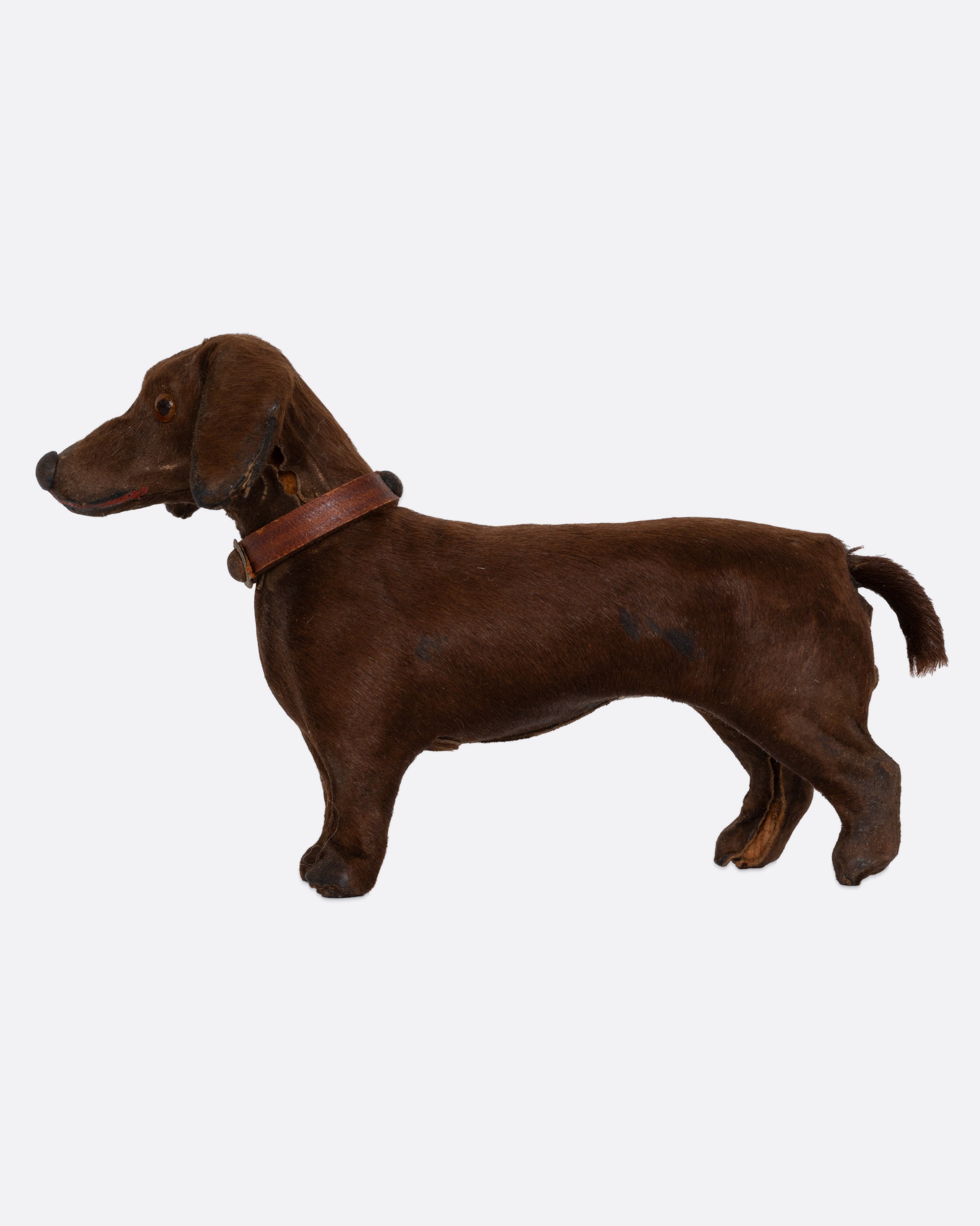 A hand carved brown dachshund with a collar, shown from the side.