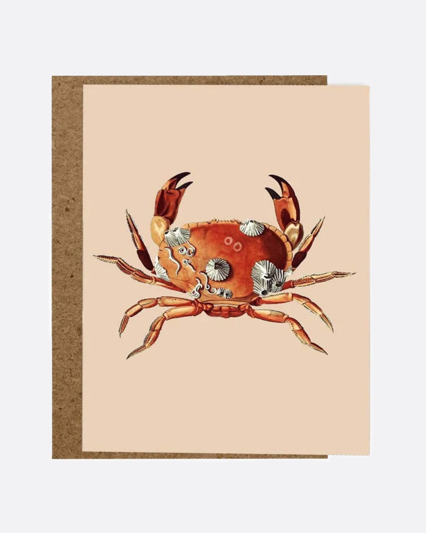 A light pink paper greeting card with red crab covered in barnacles on the front, a blank white interior, and a kraft paper envelope.