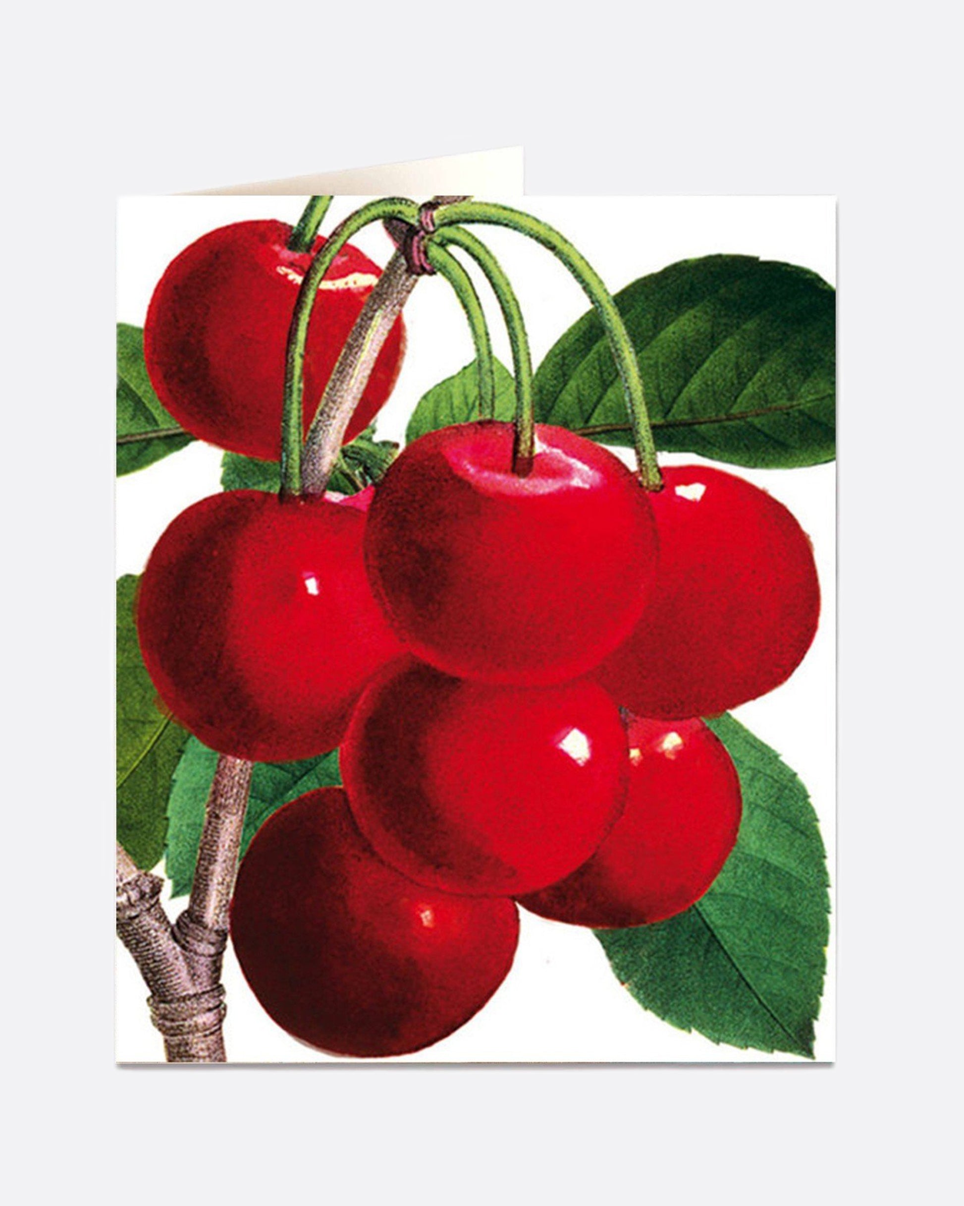 A white greeting card with a bunch of red cherries still on its branch, and a blank interior.