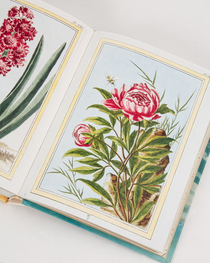 An open page with a flower painting in the John Derian Sticker Book. Shown lying from the front.