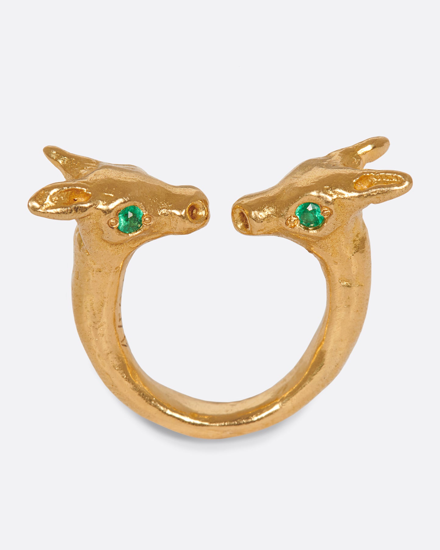 An open ring with two creatures facing one another, staring into bright emerald eyes.