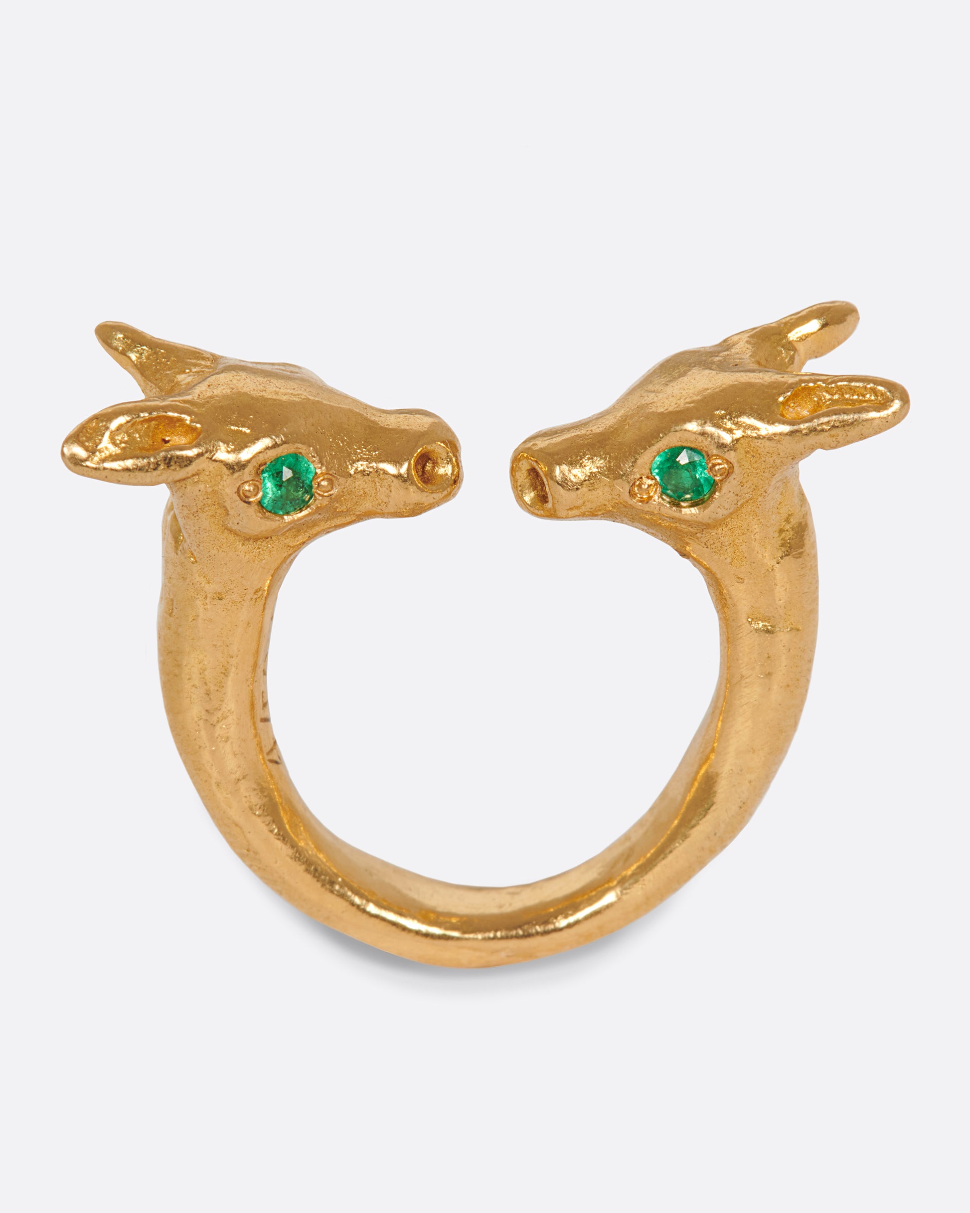 An open ring with two creatures facing one another, staring into bright emerald eyes.