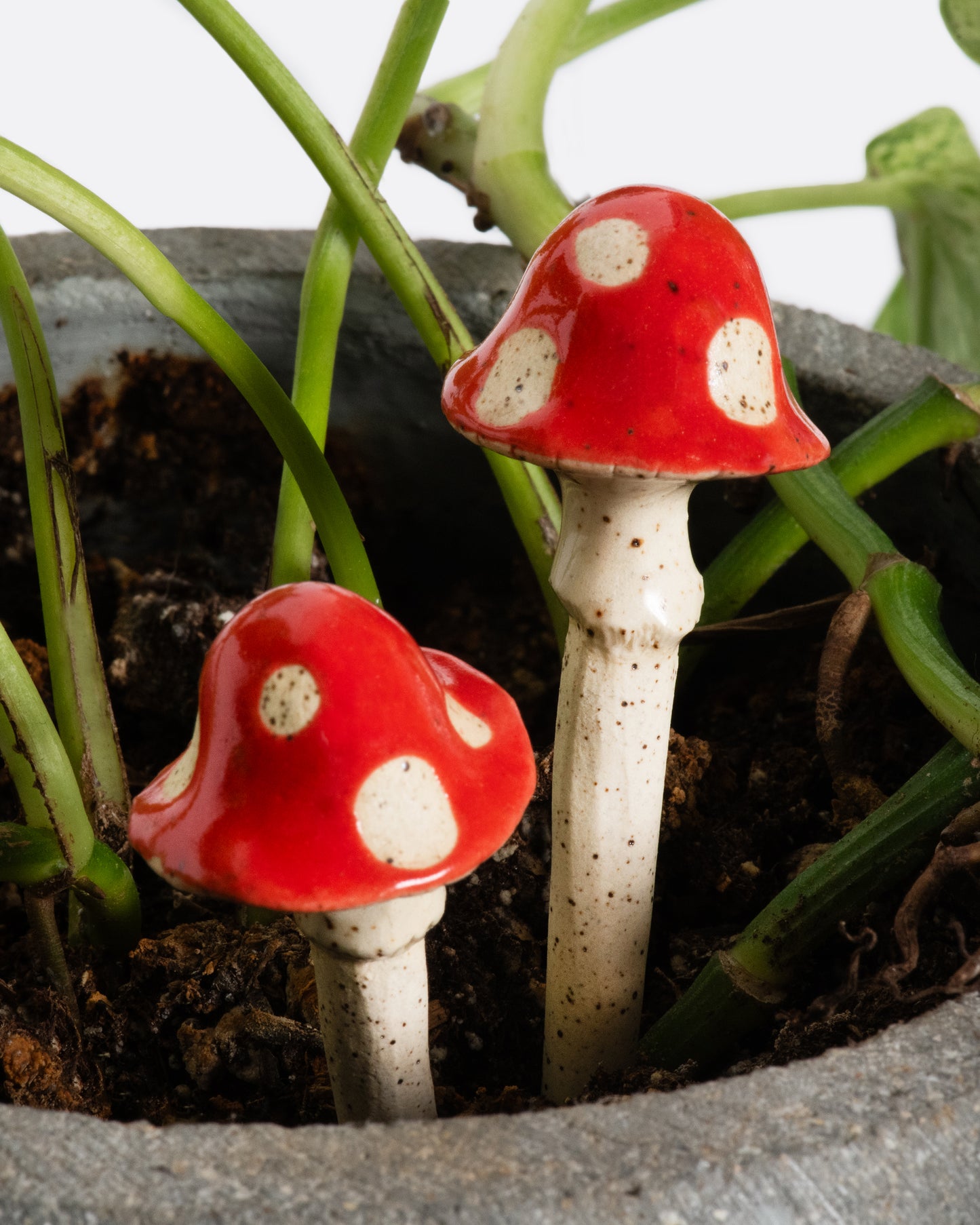 These ceramic shroom plant sculptures are like little friends for your house plant—a staple in our dopamine decor.