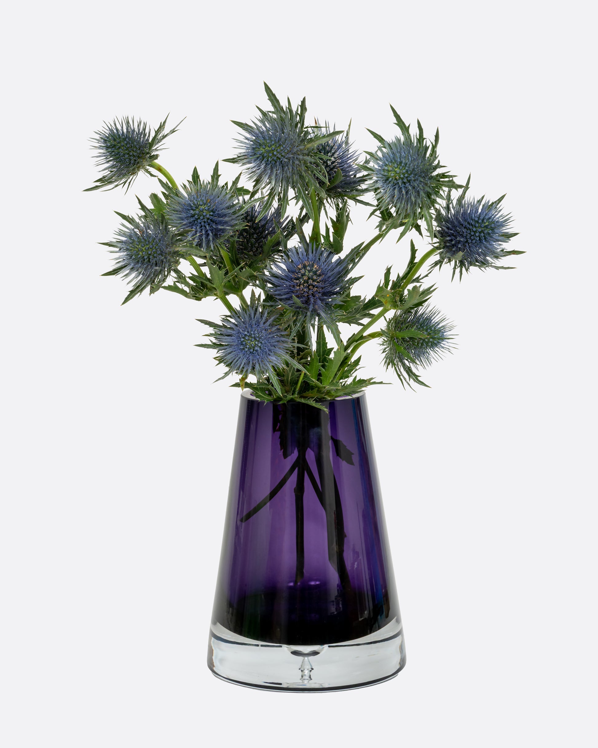 An  aubergine glass vase with a wide base and more narrow top. Shown with flowers in it from the front.