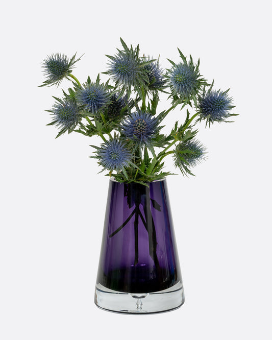 An  aubergine glass vase with a wide base and more narrow top. Shown with flowers in it from the front.