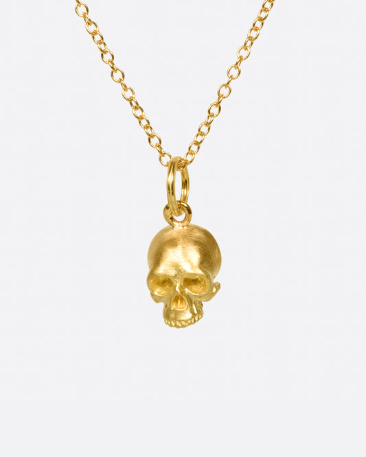 A cable chain necklace with a skull pendant based on the anatomical illustrations of Leonardo Da Vinci.